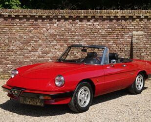Alfa Romeo Spider Gebrauchtwagen