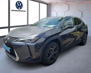 Lexus UX Gebrauchtwagen