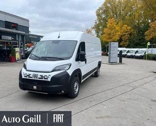 Fiat Ducato Gebrauchtwagen