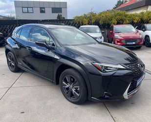 Lexus UX Gebrauchtwagen