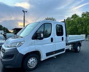 Fiat Ducato Gebrauchtwagen