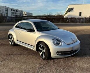 VW Beetle Gebrauchtwagen