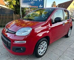 Fiat Panda Gebrauchtwagen