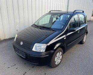 Fiat Panda Gebrauchtwagen