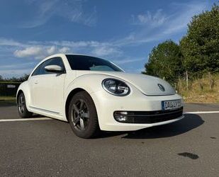 VW Beetle Gebrauchtwagen