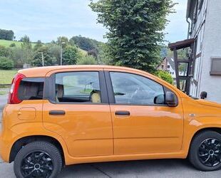 Fiat Panda Gebrauchtwagen