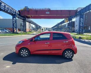 Kia Picanto Gebrauchtwagen
