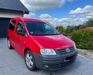VW Caddy Gebrauchtwagen