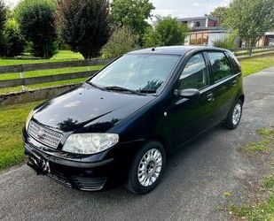 Fiat Punto Gebrauchtwagen