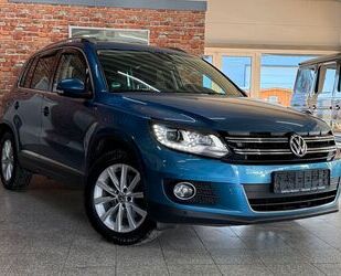 VW Tiguan Gebrauchtwagen