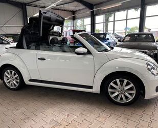VW Beetle Gebrauchtwagen