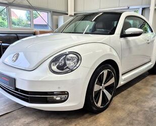 VW Beetle Gebrauchtwagen