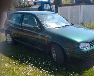 VW Golf Gebrauchtwagen