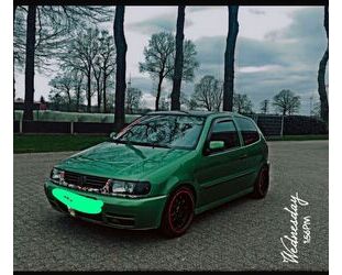 VW Polo Gebrauchtwagen