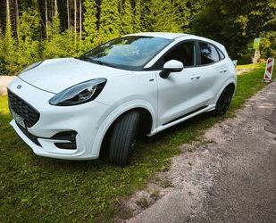 Ford Puma Gebrauchtwagen