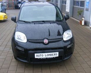 Fiat Panda Gebrauchtwagen