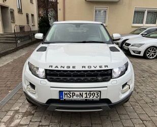 Land Rover Range Rover Evoque Gebrauchtwagen