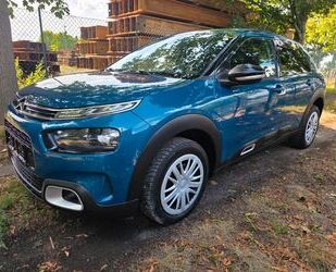 Citroen C4 Cactus Gebrauchtwagen