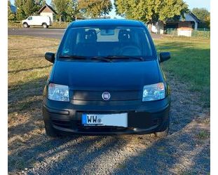 Fiat Panda Gebrauchtwagen
