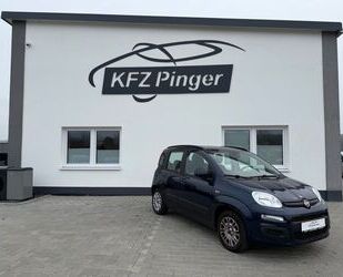 Fiat Panda Gebrauchtwagen
