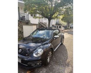VW Beetle Gebrauchtwagen