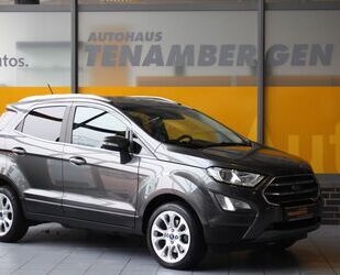 Ford EcoSport Gebrauchtwagen