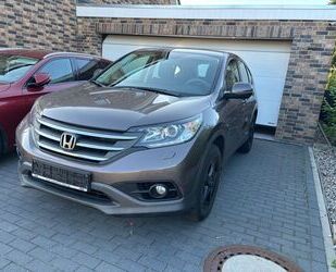 Honda CR-V Gebrauchtwagen
