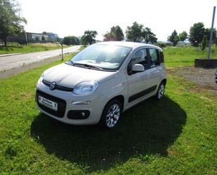 Fiat Panda Gebrauchtwagen