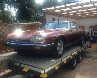 Jaguar XJS Gebrauchtwagen