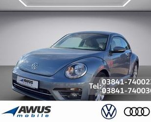 VW Beetle Gebrauchtwagen