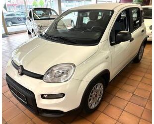Fiat Panda Gebrauchtwagen