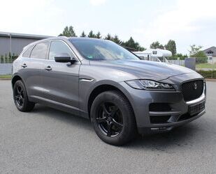 Jaguar F-Pace Gebrauchtwagen