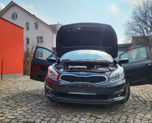Kia ceed / Ceed Gebrauchtwagen