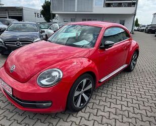 VW Beetle Gebrauchtwagen
