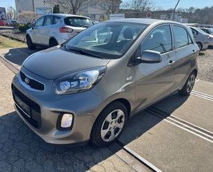 Kia Picanto Gebrauchtwagen