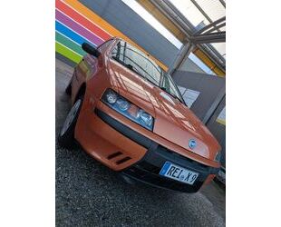 Fiat Punto Gebrauchtwagen