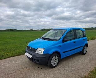 Fiat Panda Gebrauchtwagen