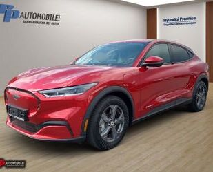Ford Mustang Gebrauchtwagen
