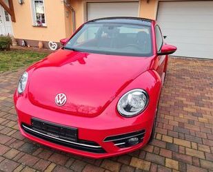 VW Beetle Gebrauchtwagen
