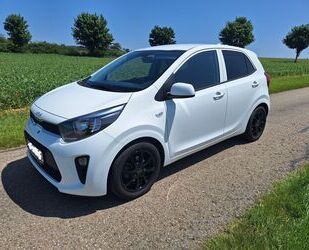Kia Picanto Gebrauchtwagen
