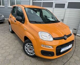 Fiat Panda Gebrauchtwagen