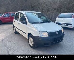 Fiat Panda Gebrauchtwagen