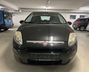 Fiat Punto Evo Gebrauchtwagen