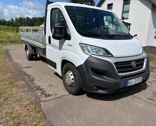 Fiat Ducato Gebrauchtwagen
