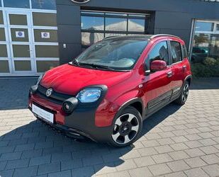 Fiat Panda Gebrauchtwagen