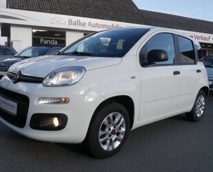 Fiat Panda Gebrauchtwagen