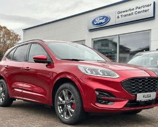 Ford Kuga Gebrauchtwagen