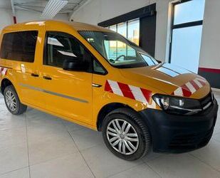 VW Caddy Gebrauchtwagen