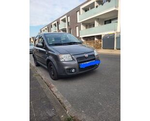 Fiat Panda Gebrauchtwagen