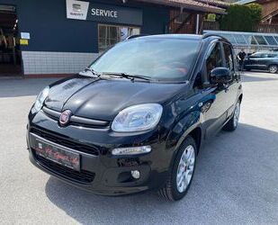 Fiat Panda Gebrauchtwagen